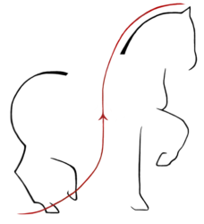 Equi-Librium Hestepraksis ApS